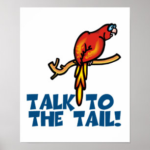 Poster Talk to the Tail Parrot