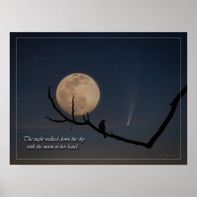 Poster Talking to the moon (Frente)