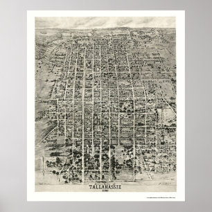 Pôster Tallahassee, mapa panorâmico de FL - 1926
