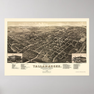 Poster Tallahassee, Mapa Panorâmico FL - 1885