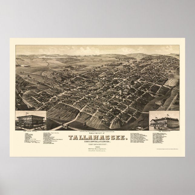 Poster Tallahassee, Mapa Panorâmico FL - 1885 (Frente)