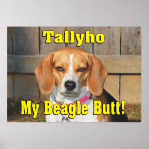 Poster Tallyho meu bumbum do lebreiro! Lebreiro