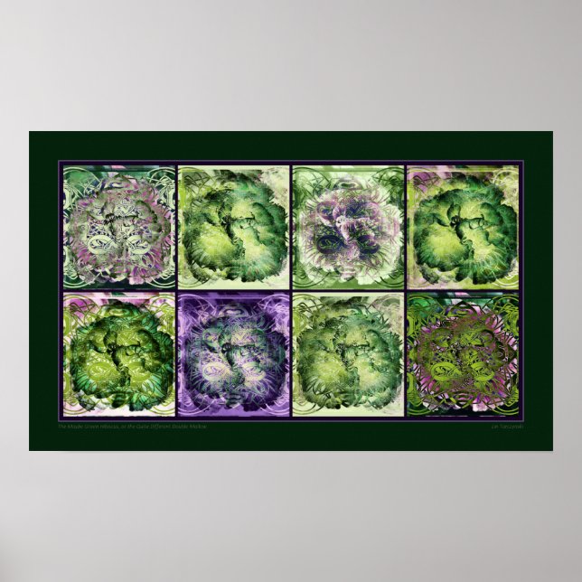 Poster Talvez o Hibiscus Verde (Frente)