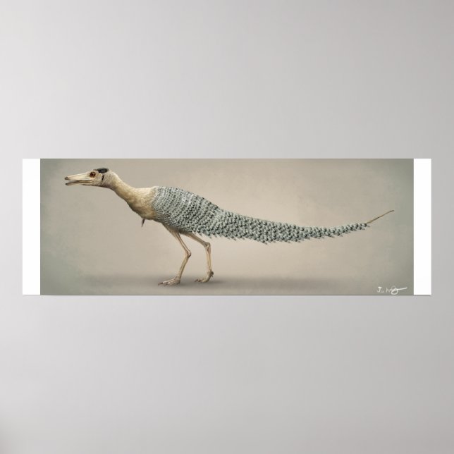 Poster Tamanho da vida Shuvuia (Frente)