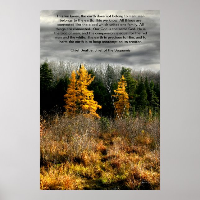Pôster Tamarack Three Seattle Quote Card, Seattle Quote (Frente)