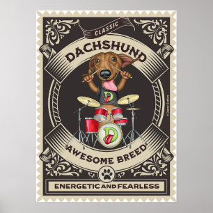 Poster Tambores De Brincadeira De Dachshund