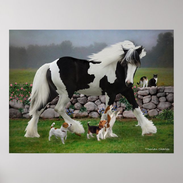 Poster "Tamlin & The Pups" (Frente)