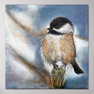 Poster tampado preto do Chickadee  