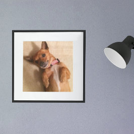 Poster Tan Dachshund Puppy Dog Belly Pose