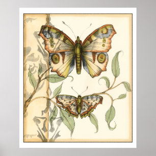 Poster Tandem Butterflies Over Green Leaves