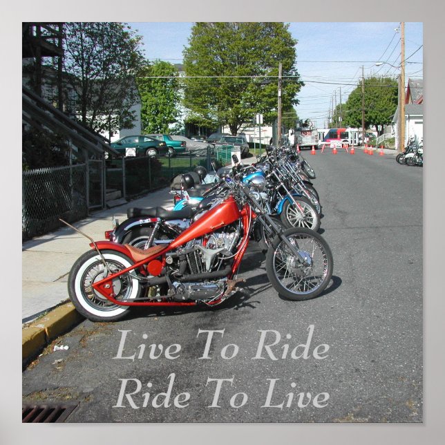 Pôster Tantas escolhas tão pouco tempo!! (Frente)