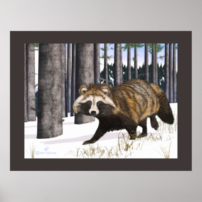 Pôster Tanuki - Raccoon Dog (Frente)