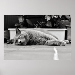 Poster Tão entediado...