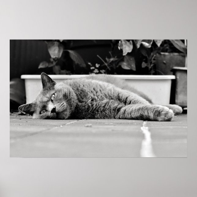 Poster Tão entediado... (Frente)