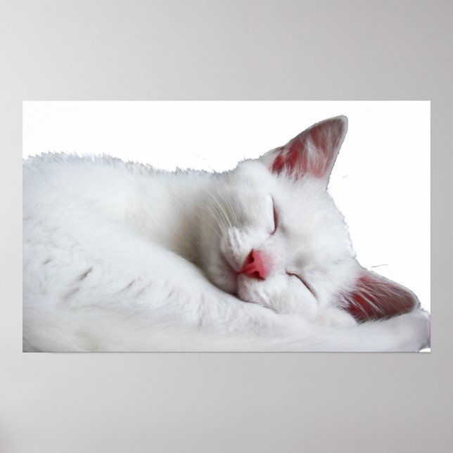 Pôster tão sonolento (Frente)