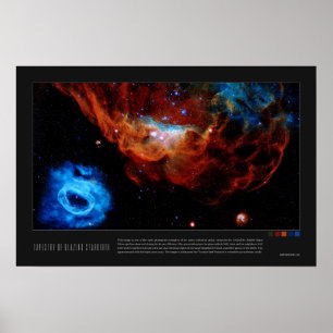 Poster Tapestry of Blazing Starbirth (NGC 2014, NGC 2020)