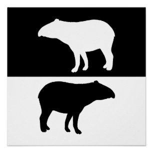 Pôster Tapir