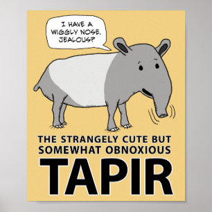 Poster Tapir engraçado e bonito mas obnóxio