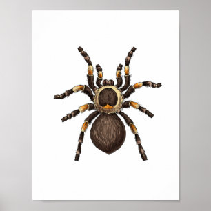 Poster Tarantula