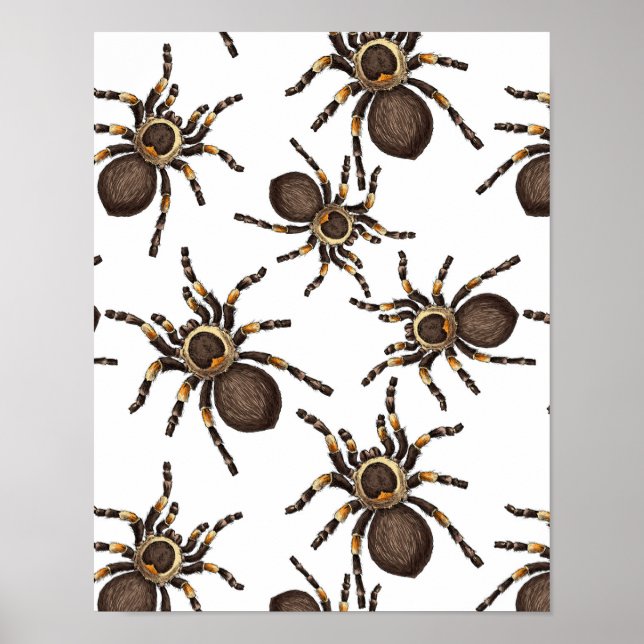 Poster Tarantula em branco (Frente)