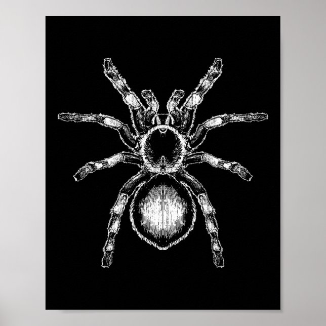 Poster Tarantula Huge Spider Phobia Halloween Costume Ara (Frente)