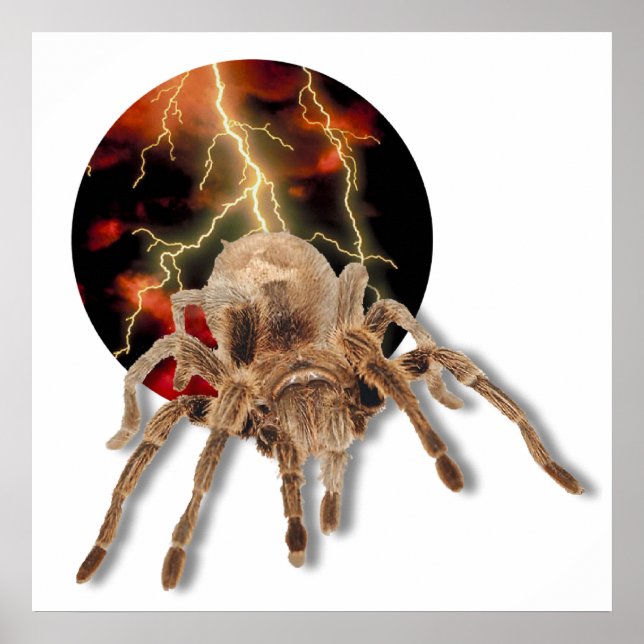 Poster Tarantula Lightning (Frente)