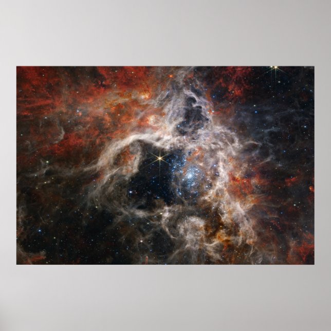 Poster Tarantula Nebula James Webb NASA (Frente)