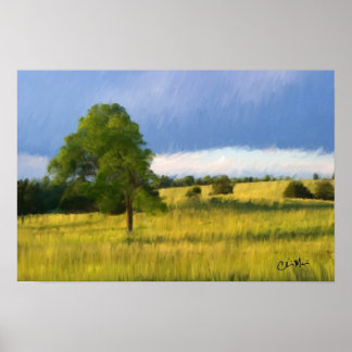 Poster Tarda noite de Verão - Pintura