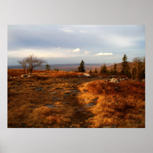 Pôster Tarde da tarde sobre os Sods