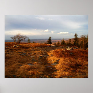 Pôster Tarde da tarde sobre os Sods