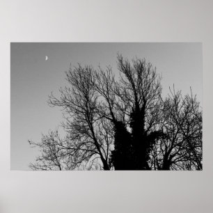 Poster Tarde do inverno medieval