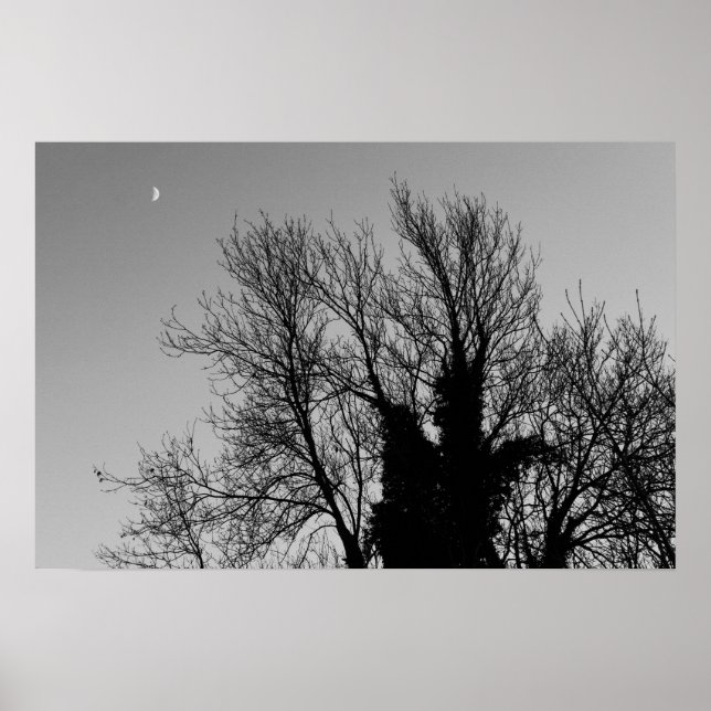 Poster Tarde do inverno medieval (Frente)