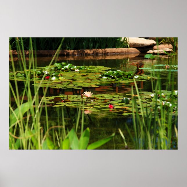 Pôster Tarde Idílica (Frente)