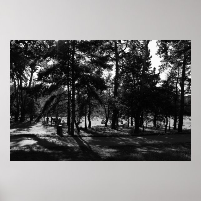 Poster Tarde no Parque (Frente)