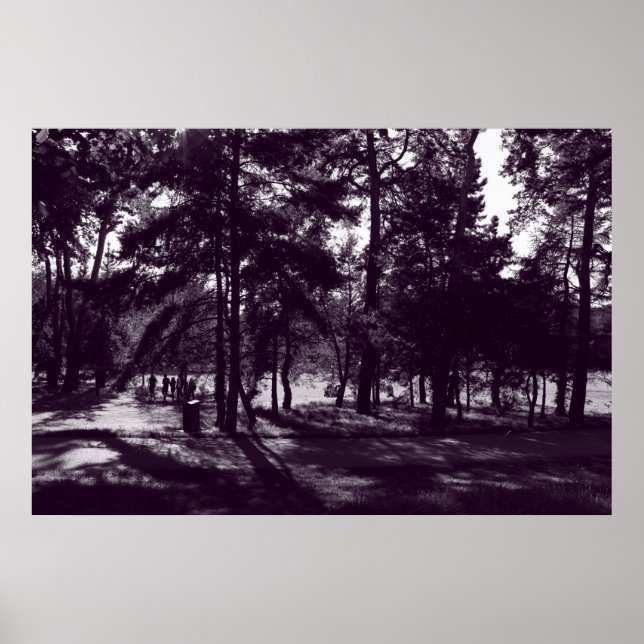 Poster Tarde no Parque (Tonelada Roxa) (Frente)