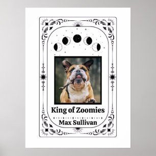 Poster Tarot de Foto Personalizada para Amantes de Cachor