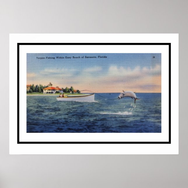 Poster Tarpon Pesca Sarasota 20x28 (Frente)