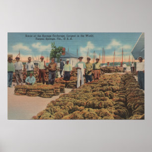 Pôster Tarpon Springs, FL - cena da troca da esponja