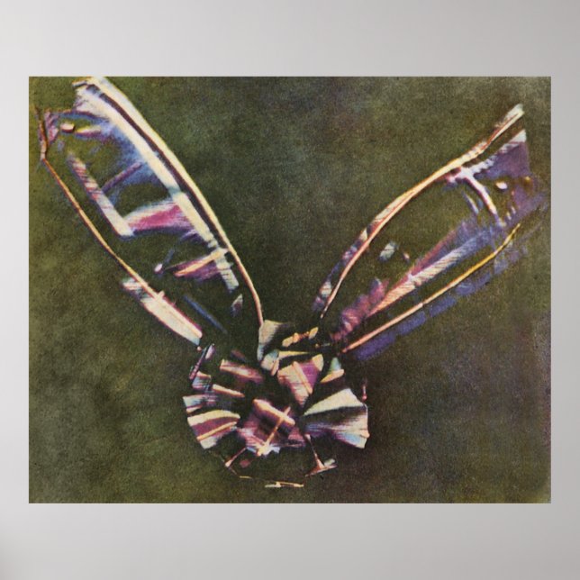 Pôster Tartan Ribbon First Known Color Photograph (Frente)
