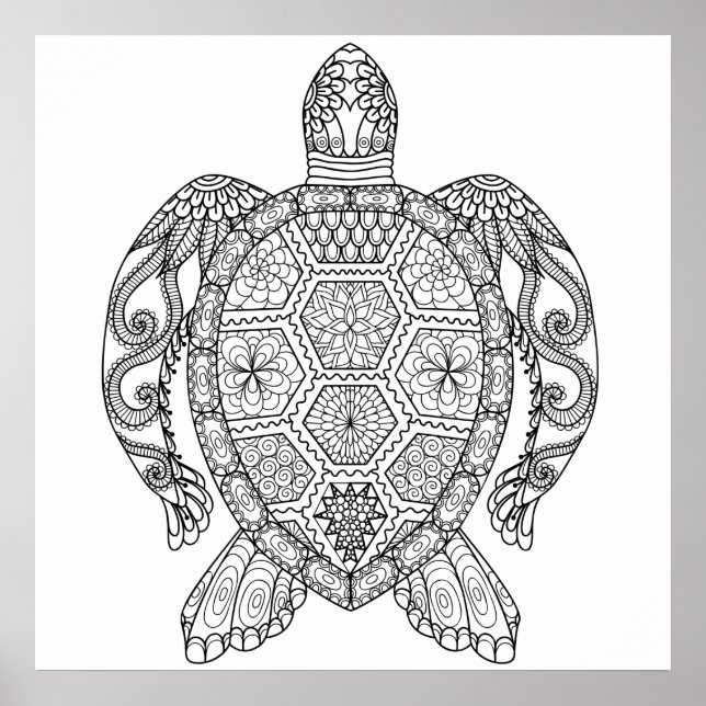 POSTER TARTARTARUGA MARÍTIMA (Frente)