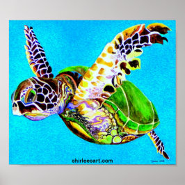 Poster tartaruga colorida