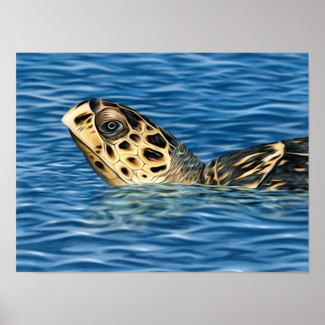 Poster Tartaruga do Mar de Basking Hawksbill (Frente)