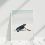 Poster Tartaruga do Mar do Bebê na Praia<br><div class="desc">Esta tartaruga do Mar do Bebê no Poster da praia é excelente para decorar uma casa costeira.</div>