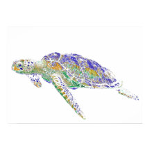 Tartaruga do Mar Nadado