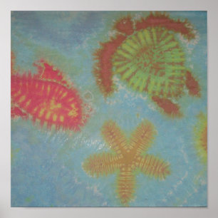 Poster Tartaruga-do-mar, Tartaruga-do-mar, Peixes-estrela