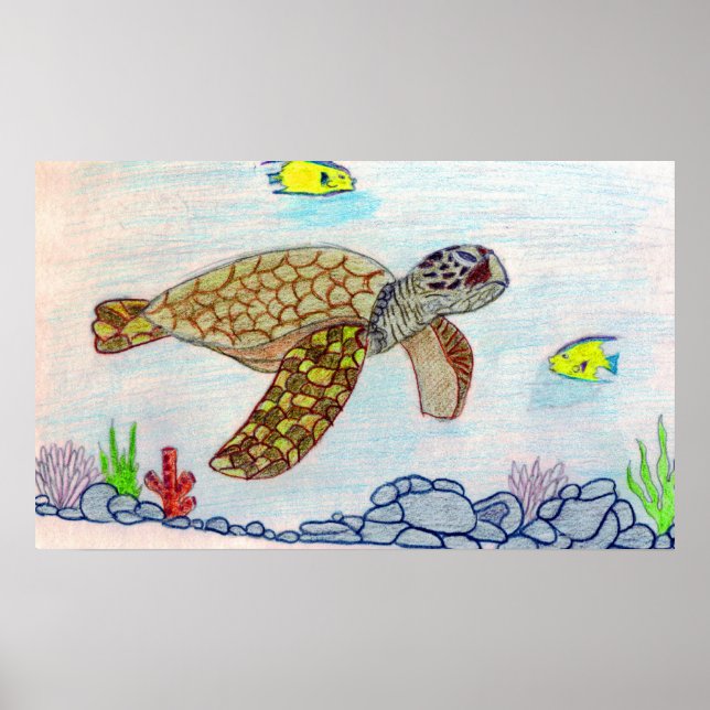 Poster tartaruga marinha (Frente)