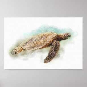 Poster Tartaruga Marinha - Aquarela de Tartaruga Marinha