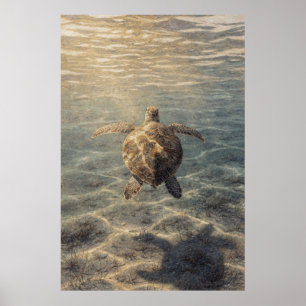 Poster Tartaruga Marinha em Água Azul Clara