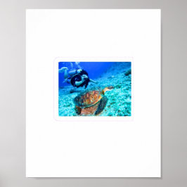 Poster Tartaruga Marinha Majestosa e Mergulhador - Aventu