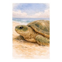 Tartaruga Marinha Praia Oceânica